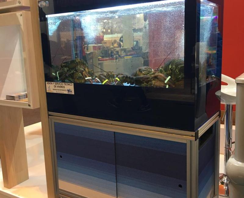 Vivero_Brandina_2 - Acuarios y Viveros de marisco Tecnomar